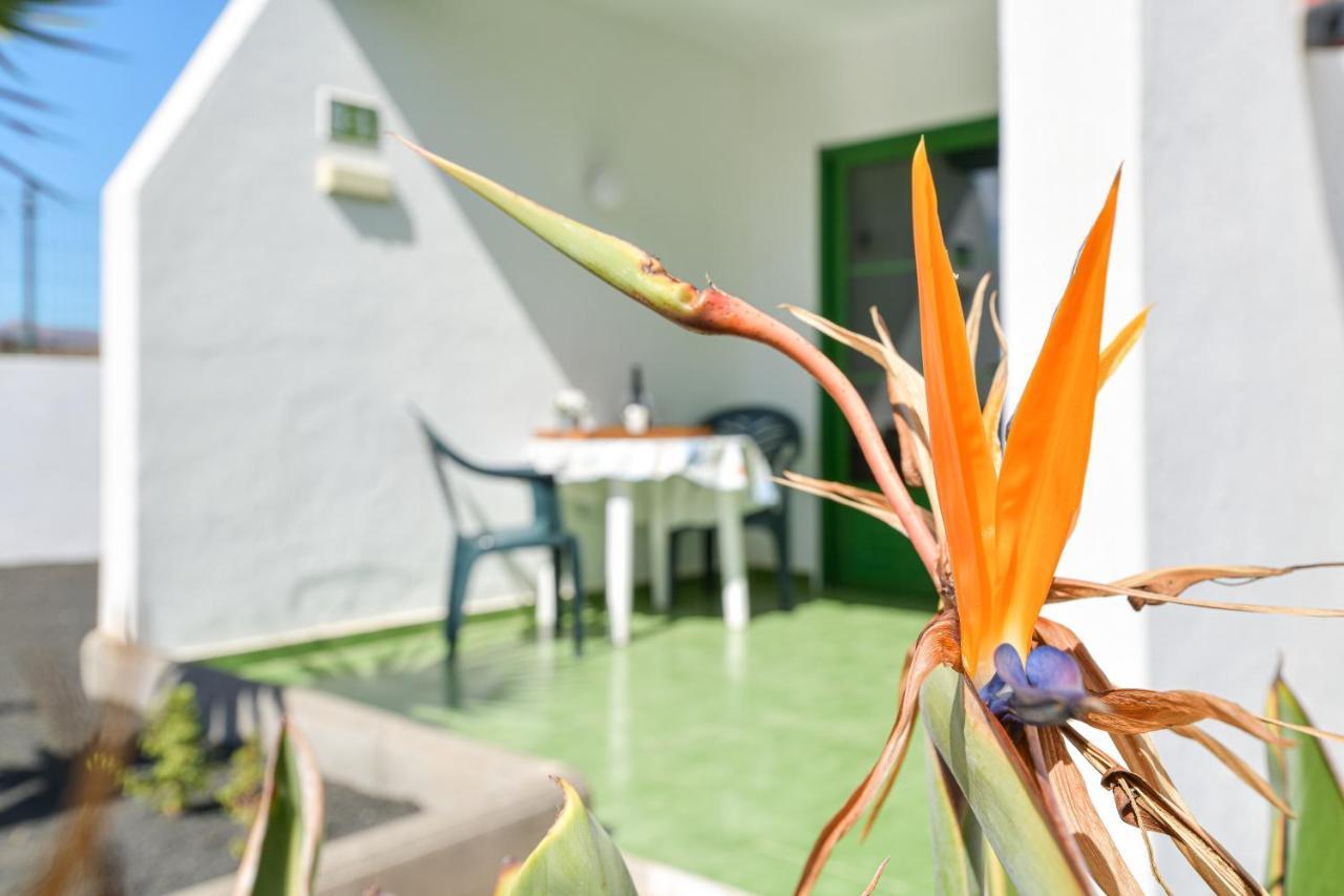 Apartament Mimosa B1 Puerto del Carmen  Zewnętrze zdjęcie